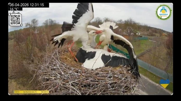 c65c9d38ab66f4540ac81ac9b603aea4